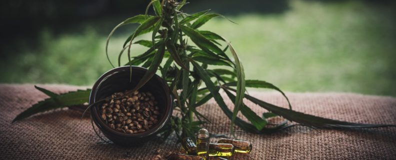 cbd oil pain relief