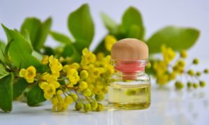 best essential oils for muscle pain relief